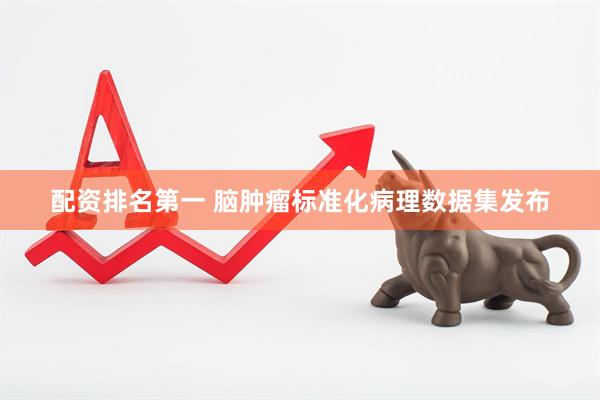 配资排名第一 脑肿瘤标准化病理数据集发布
